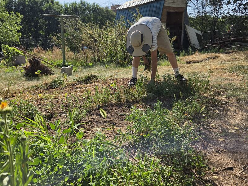 A member working a planted bed on a bright July morning, outbuildings behind.