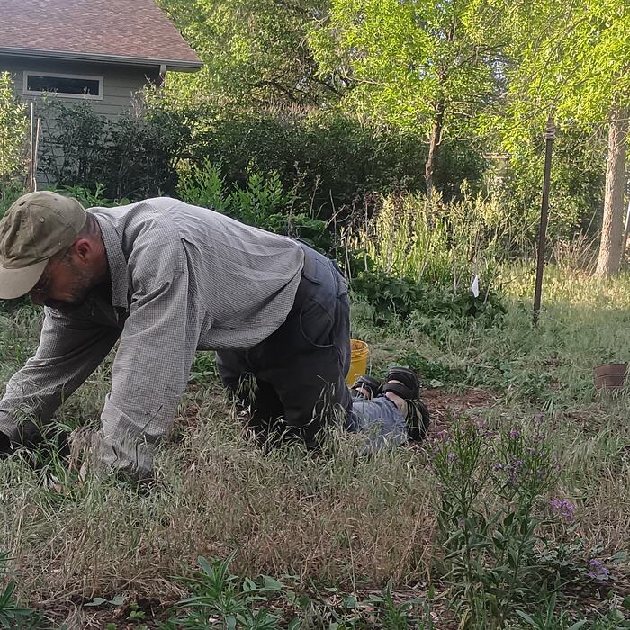 A grower kneeling with both hands in freshly turned soil, a trowel beside him.