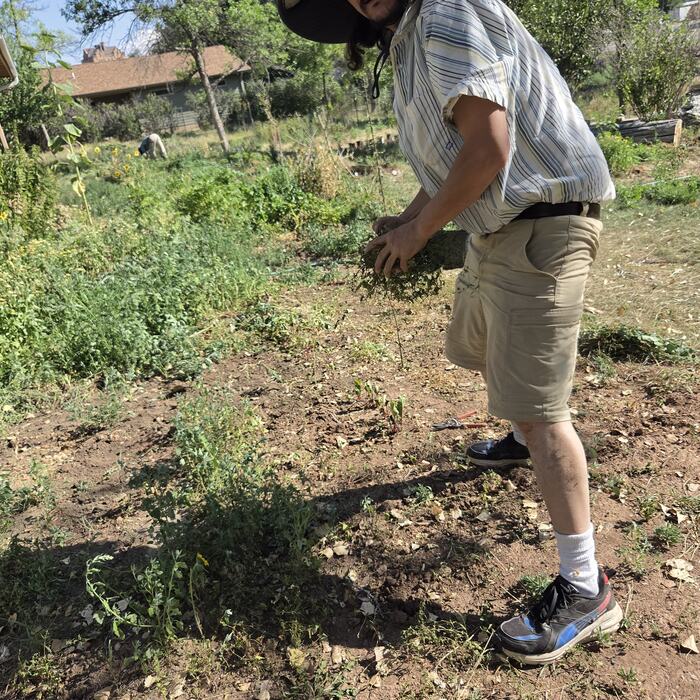 A gardener in a wide-brimmed hat working among the summer beds.