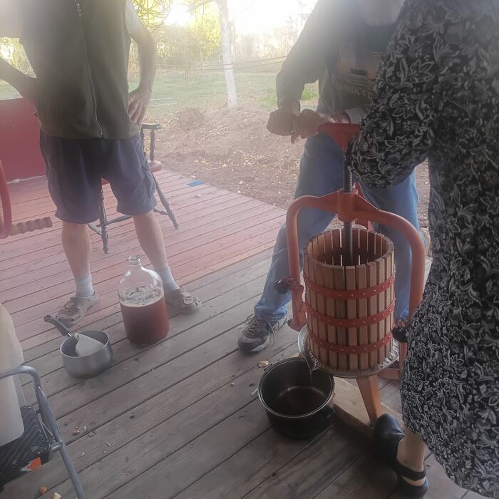 The basket press at work, a full jug of fresh juice alongside.